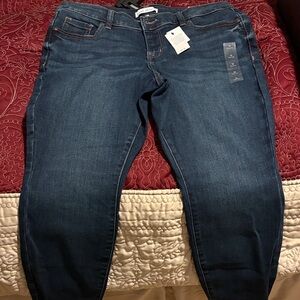 Lane Bryant Dark Blue Skinny Jeans